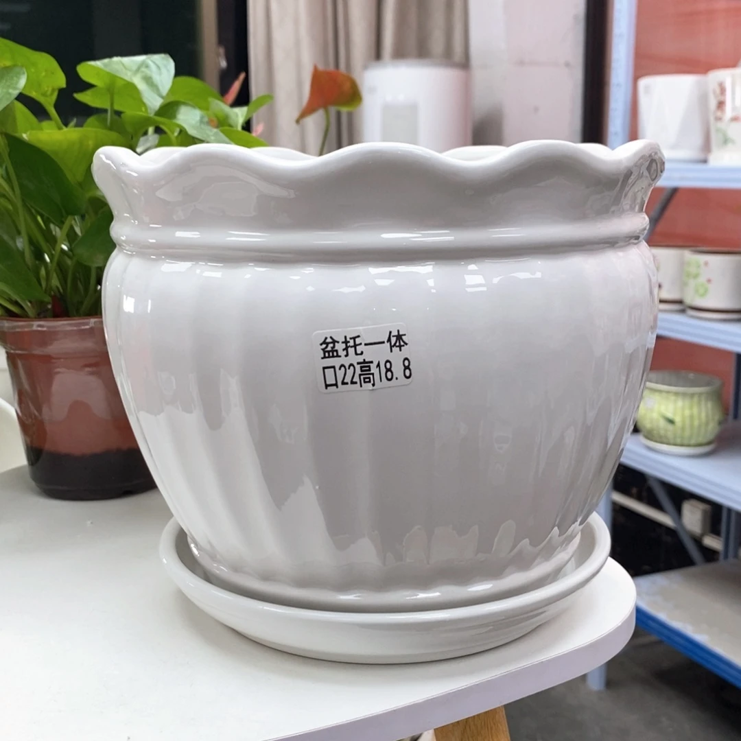 陶瓷@陶瓷花盆@@5581