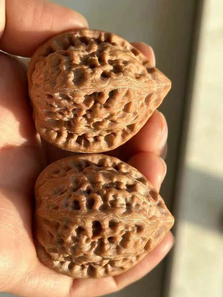 野生小奶油 咱家独有 皮质特殊 树王 皮质丝滑滑溜溜的 宽37/37.2