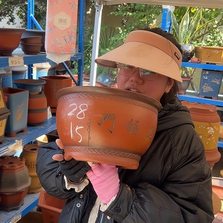 A款财进福门中花盆花盆
