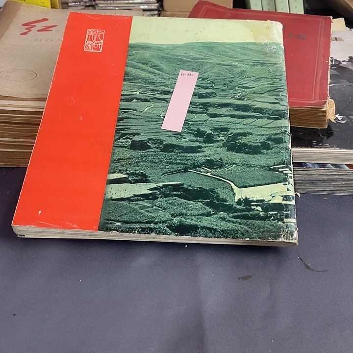 蓝***哥一物一拍民俗物件