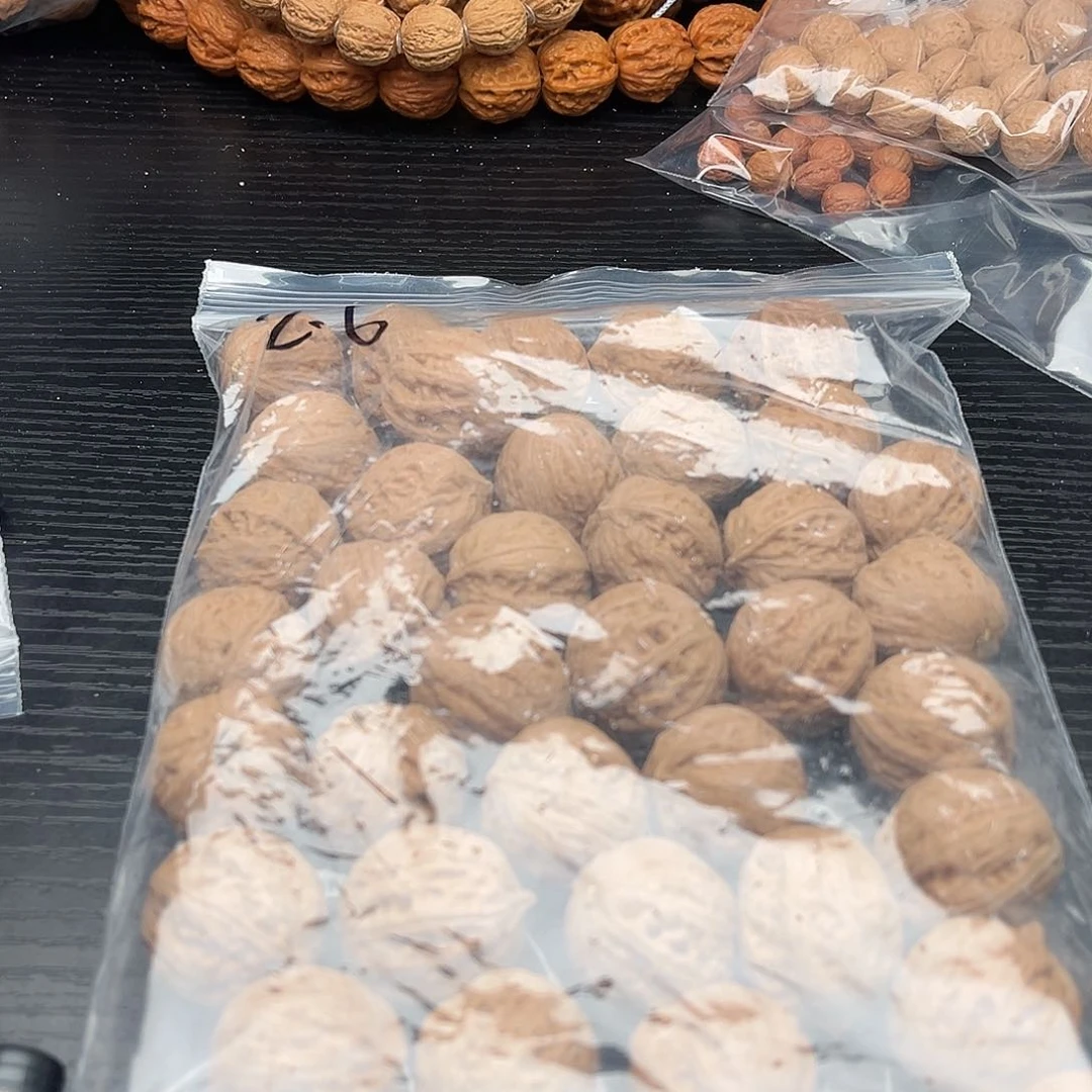 文玩核桃吊坠40粒定制打孔，定制商品不退不换