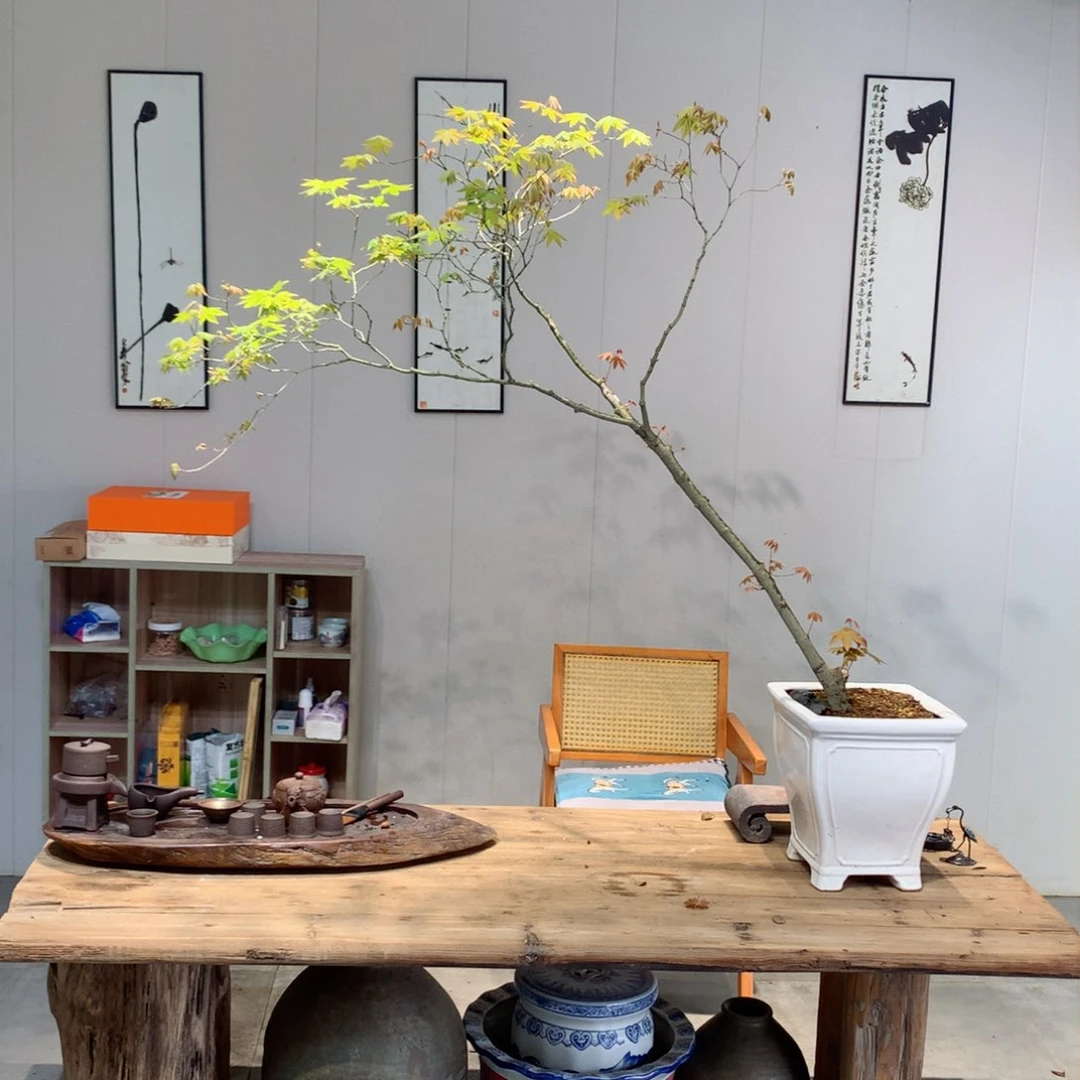 屠*和我一起去看电影吧我的天啊我的天