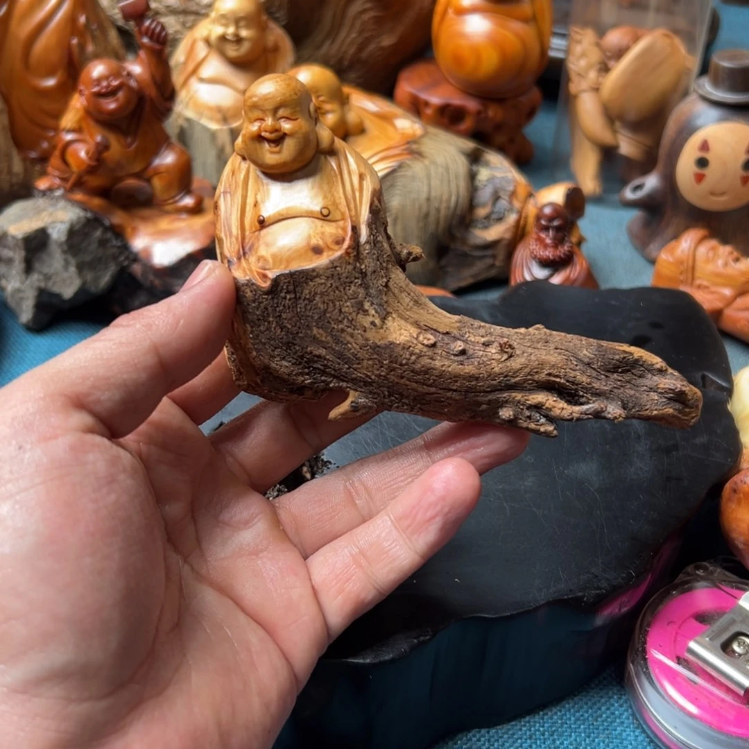 柏木（崖柏）太行崖柏