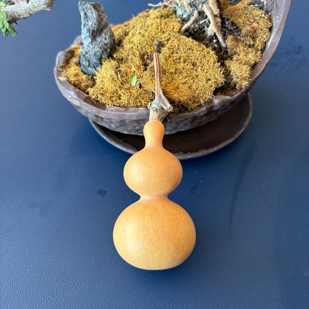 二号链接 文玩葫芦 文玩葫芦丝 直播链接