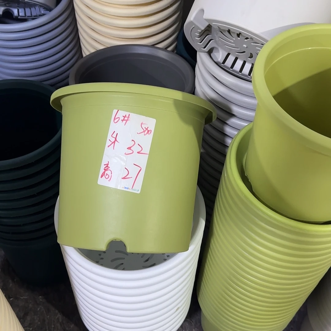 微瑕6号3个无托，果绿