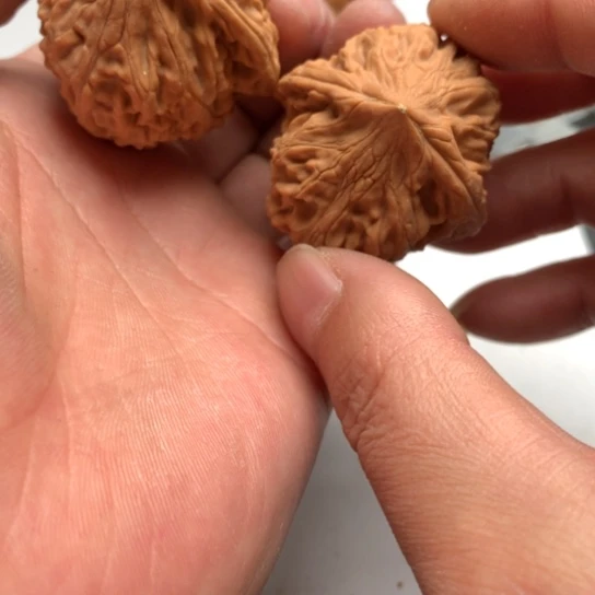 我的心好痛啊我的