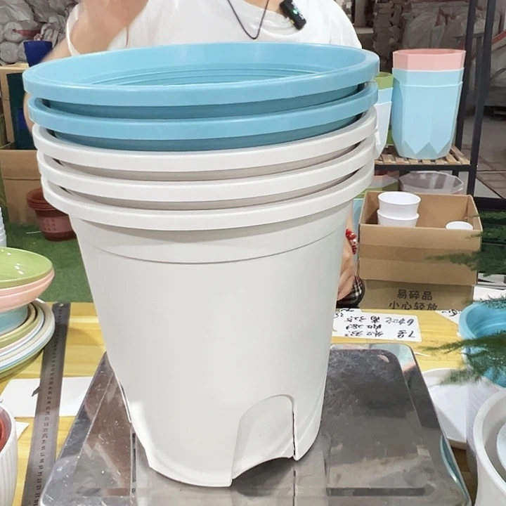 圆形控根口24高24混色5只带托
