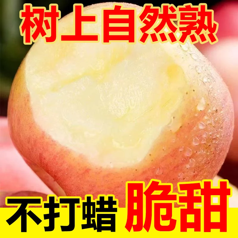 LC 2025年正宗红富士正宗红富士脆甜多汁农场直销