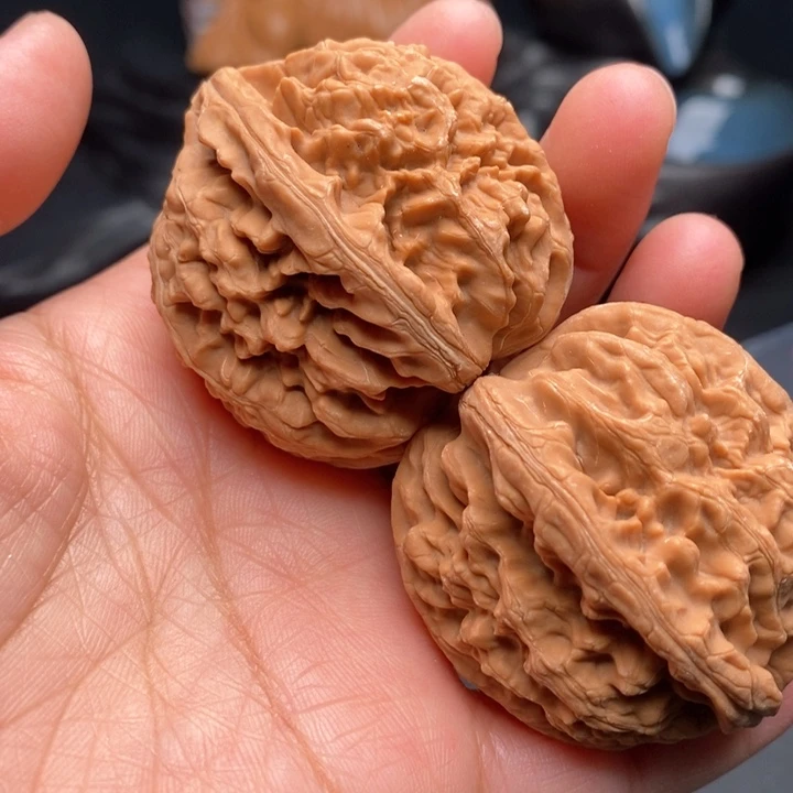 文玩核桃把件红锦鲤43尺