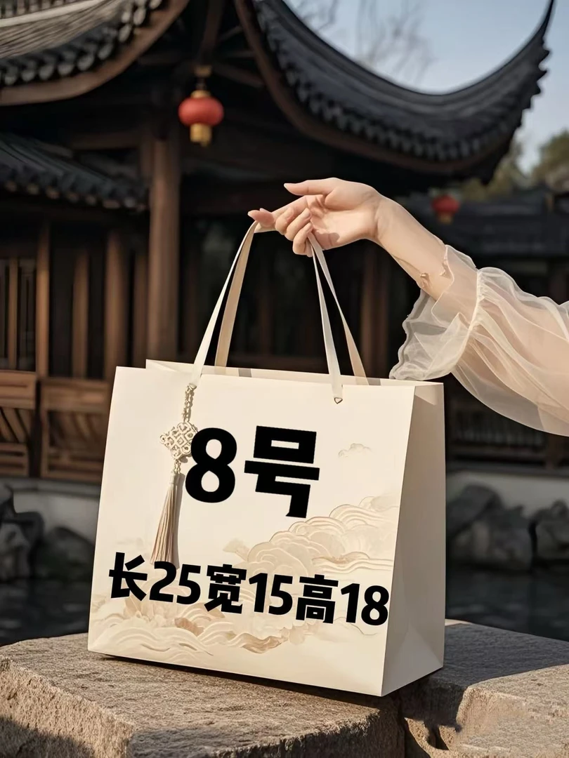 8号大号枕头包轻奢休闲A6556-6