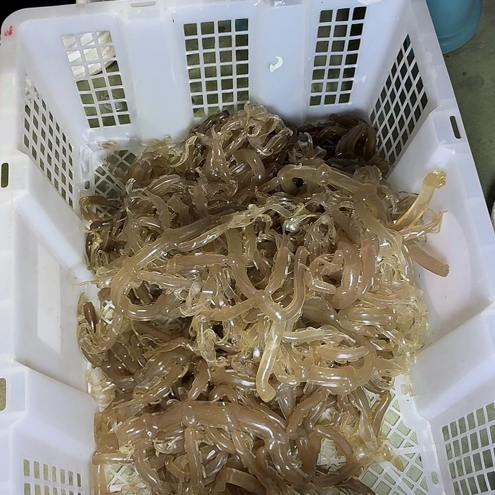 散14-全部颜色随机