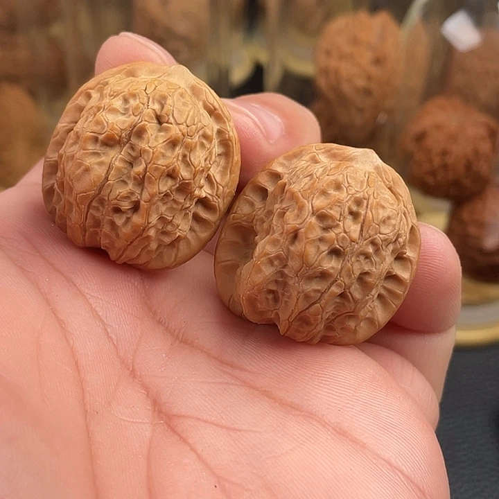 31全品血麒麟核桃核桃