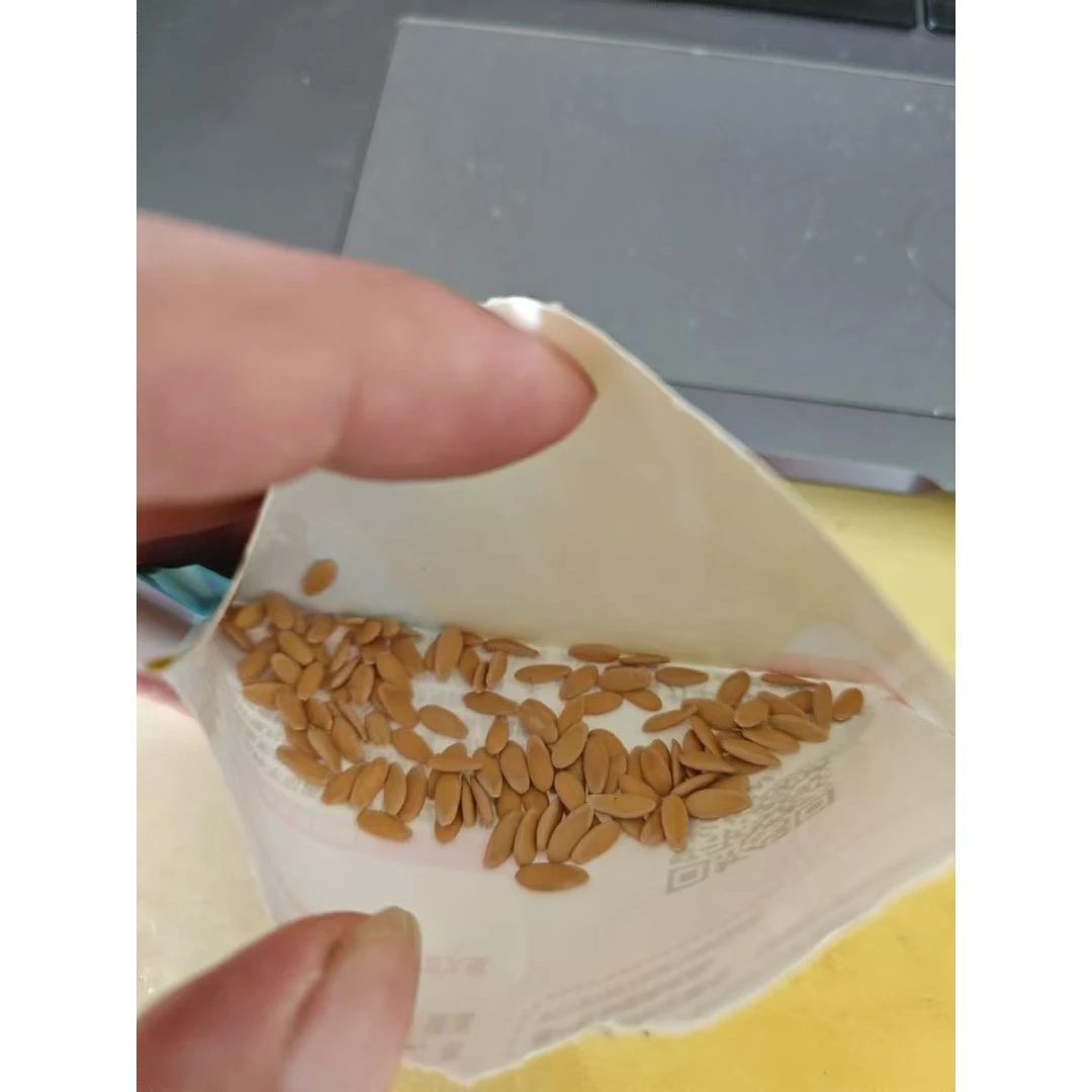 【满5包包邮】【3种空心菜可选】 菠菜大叶空心菜 柳叶空心菜香菜