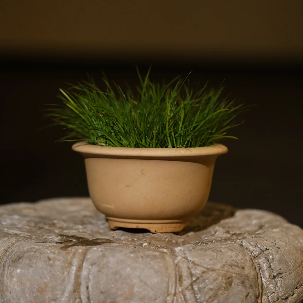 集物华竞拍 I  段泥紫砂花盆 高7.2直径14cm