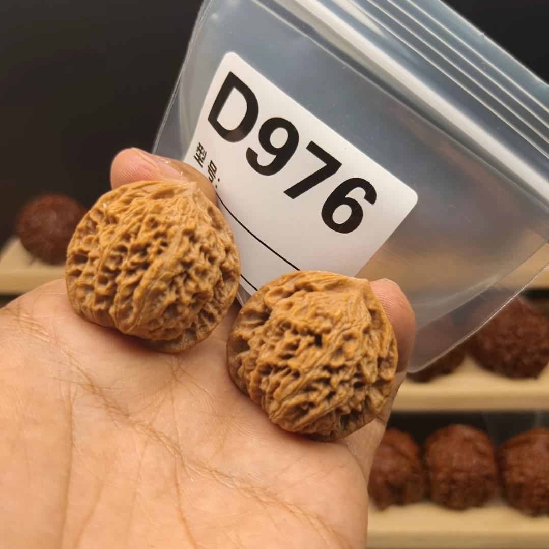 文玩核桃把件33盘龙纹d976