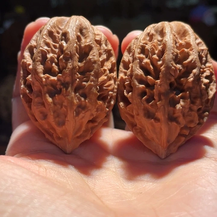 文玩核桃吊坠碎星蚂蚁43