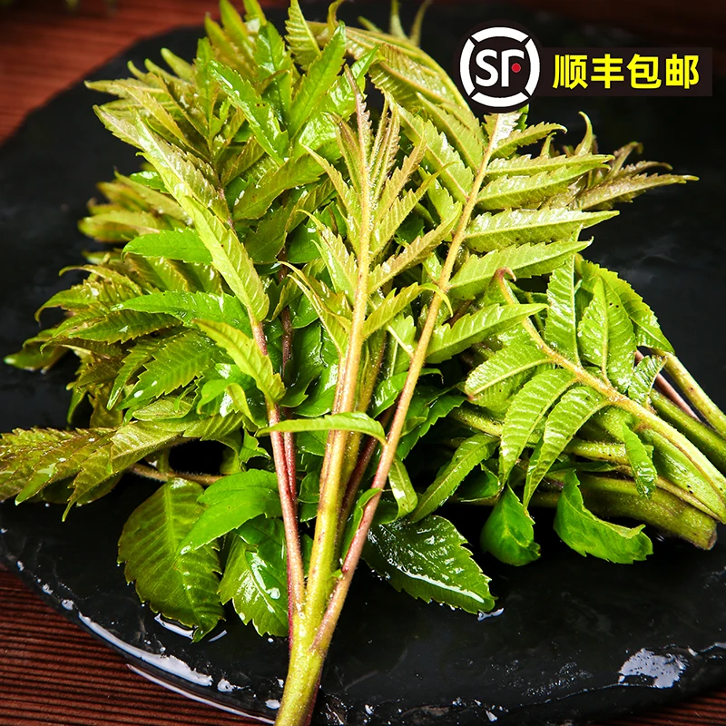 【峡城人家】 陕西新鲜香椿芽250g/500g