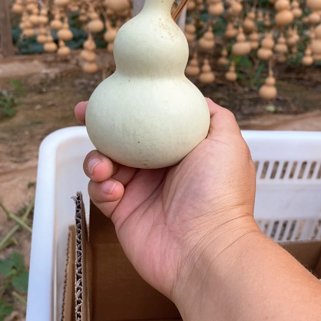 亚****德葫芦葫芦葫芦葫芦葫芦