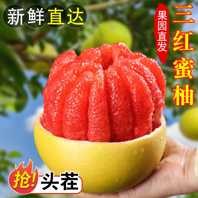 福建平和红心蜜柚老树果1.6-2斤/4.5-5斤/8.5-9斤应季水果甜多汁