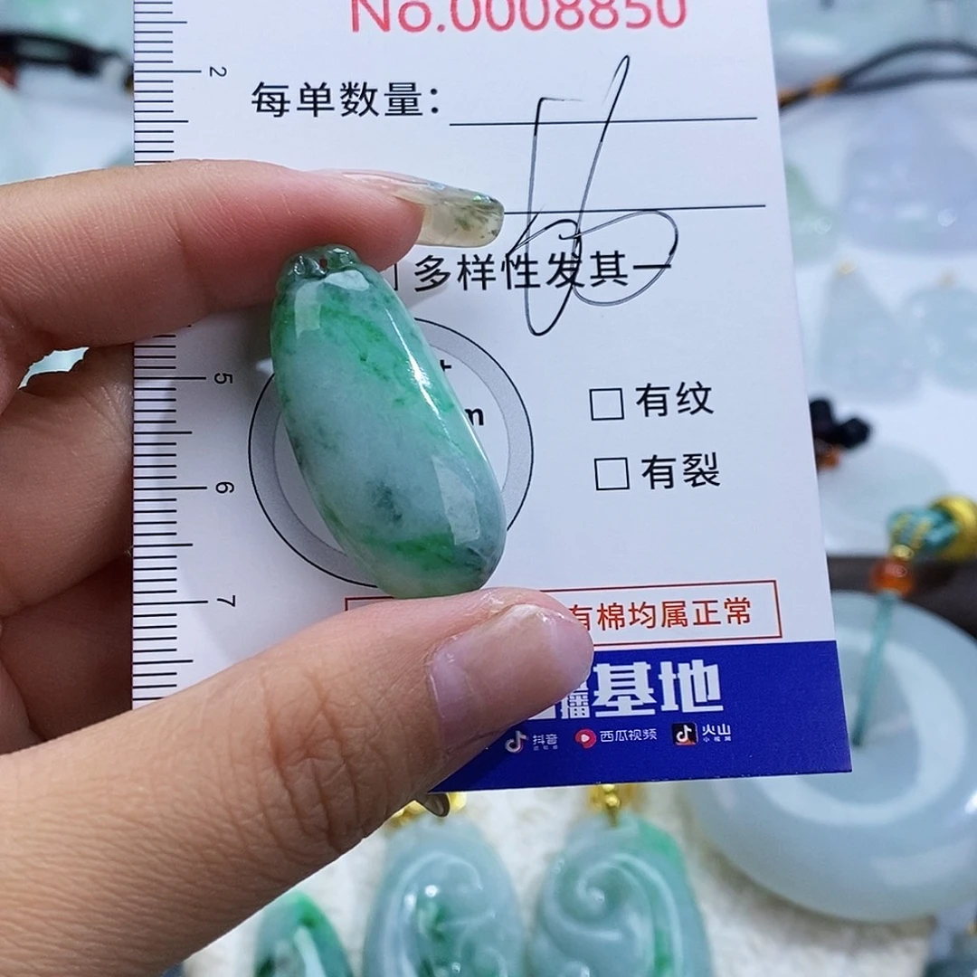 翡翠未镶嵌颈饰8850