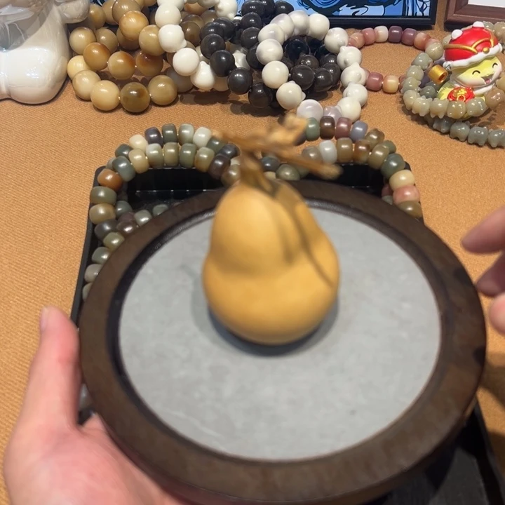 菩提根/象牙果吊坠