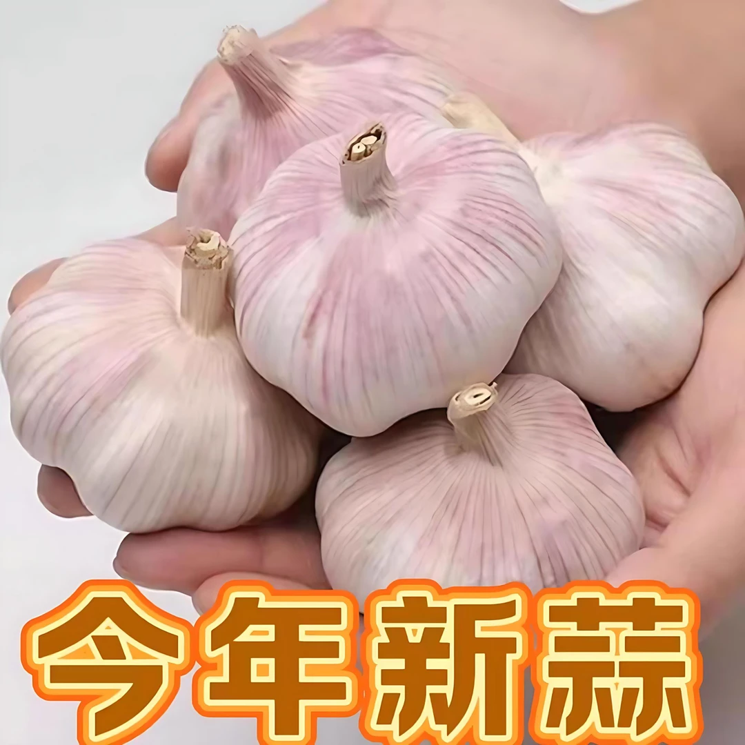 25年新蒜干蒜紫皮大蒜瓣蒜3斤/5斤新鲜