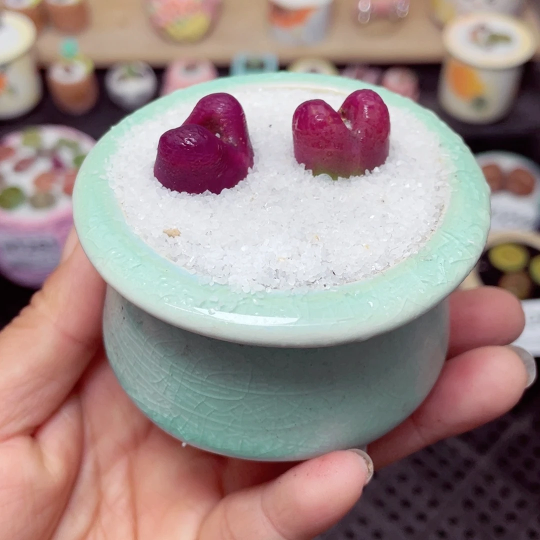 w1266 带盆土发货-零下地区拍保温箱