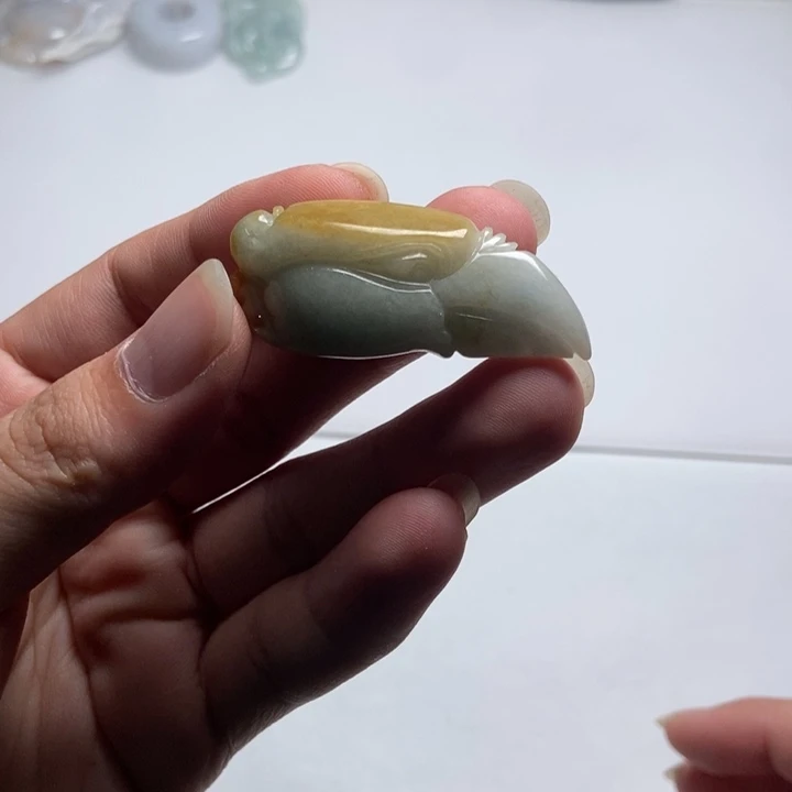 翡翠未镶嵌颈饰鹰头8