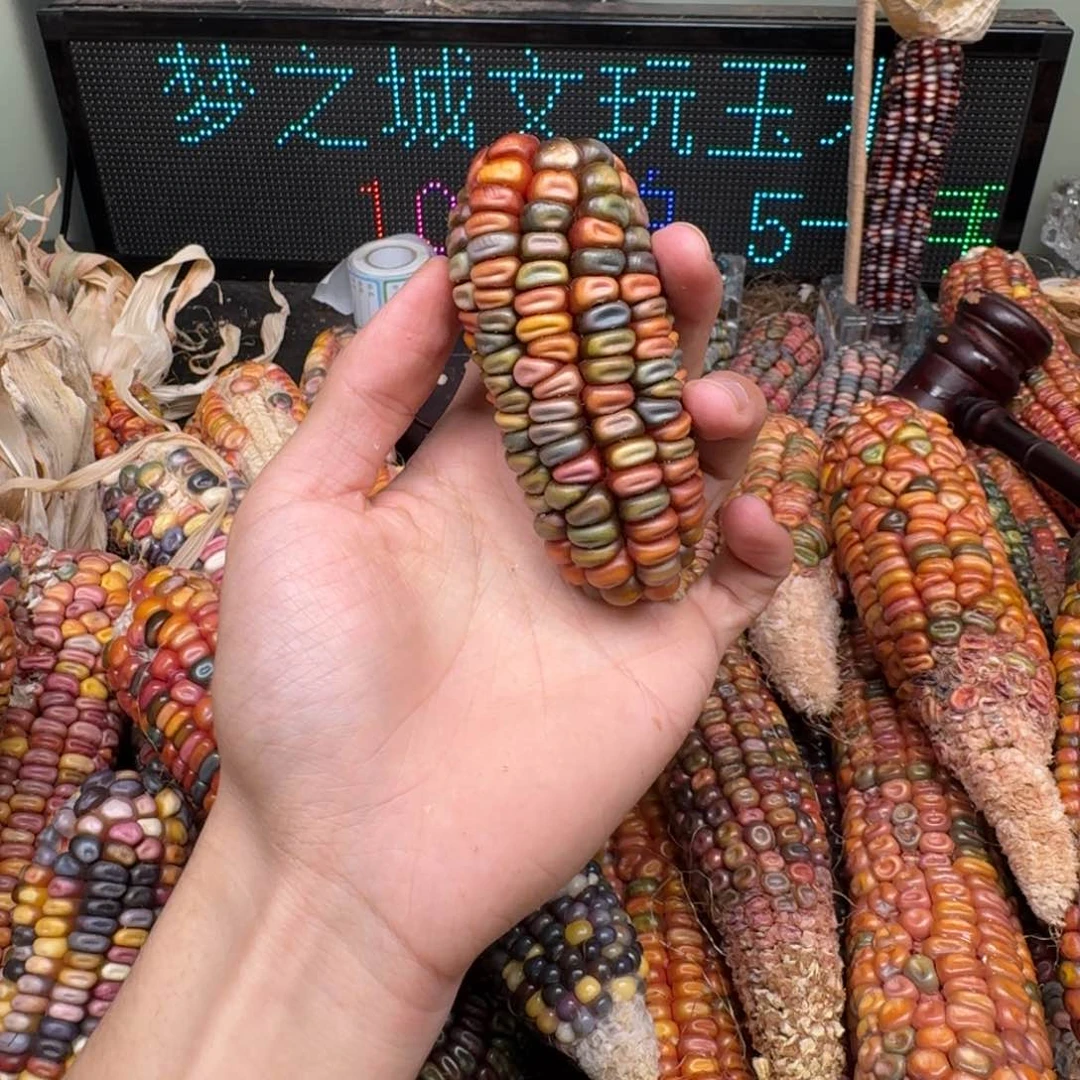 柏香籽/百香籽吊坠"****。