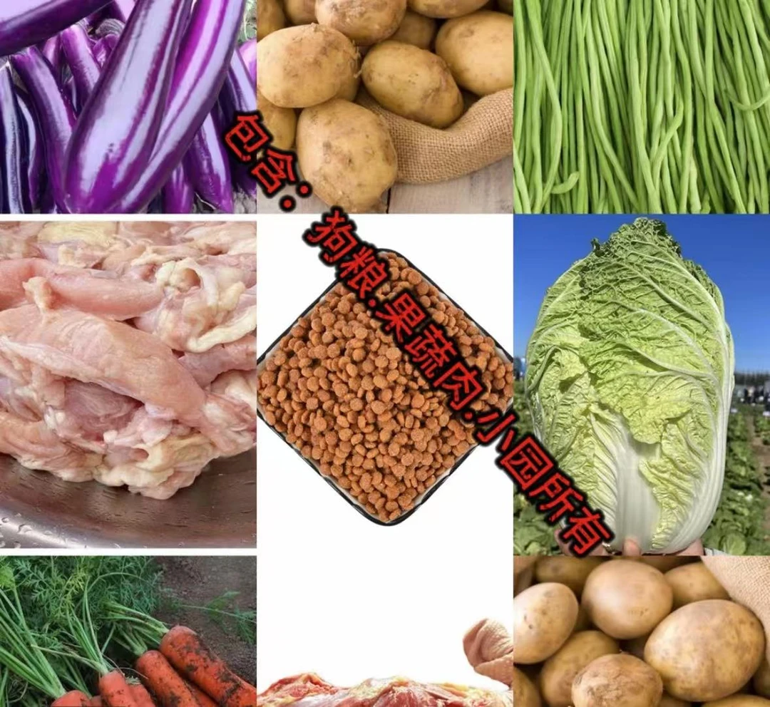 给基地狗狗的全犬期鸡胸肉，冻干