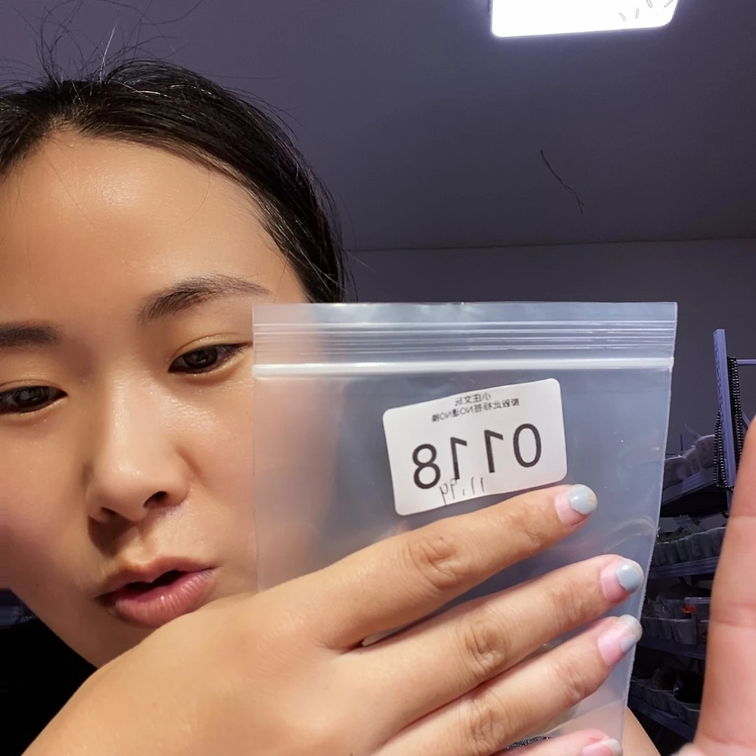 【闪购商品】黑檀木，风车木0118