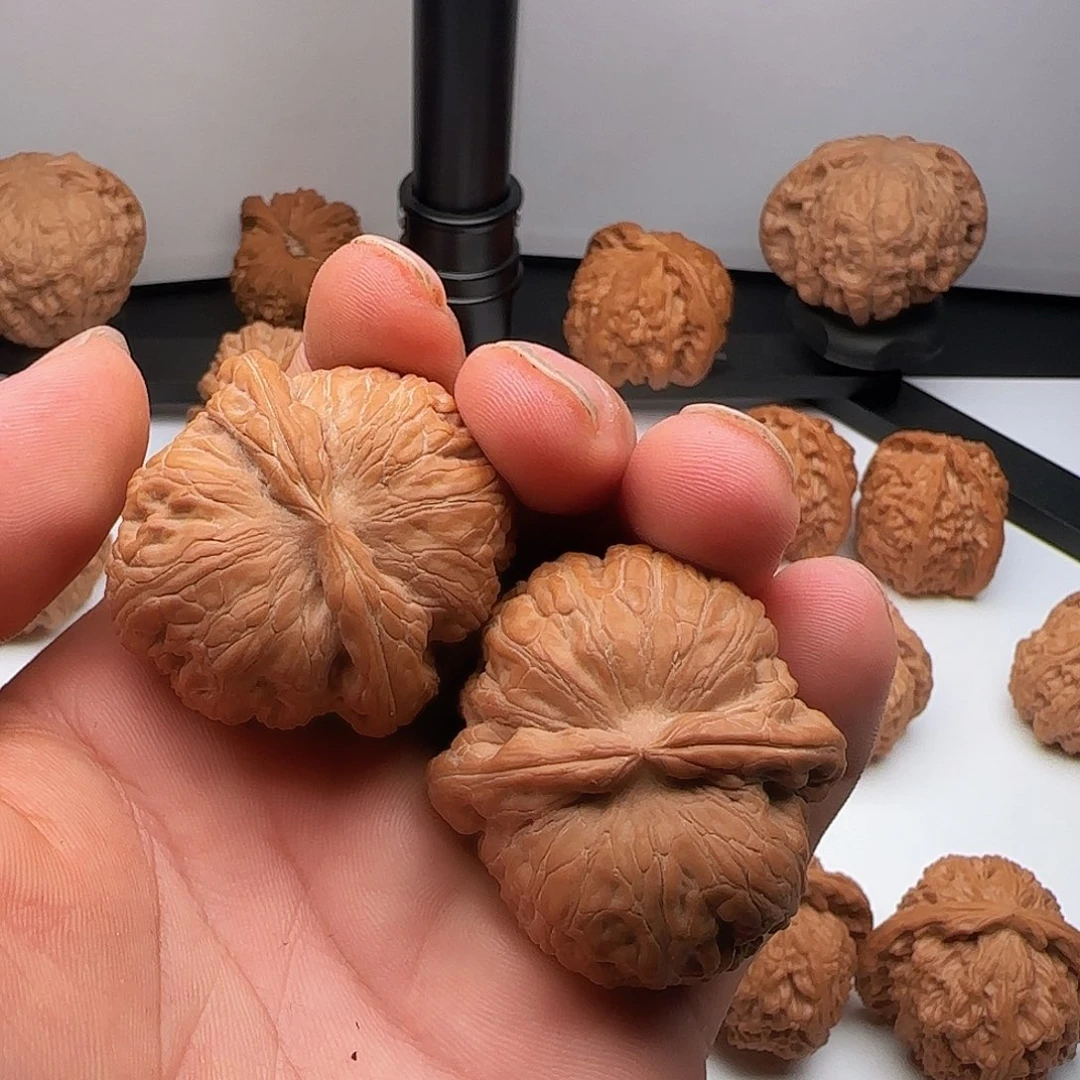 石***晗核桃0003元宝元宝