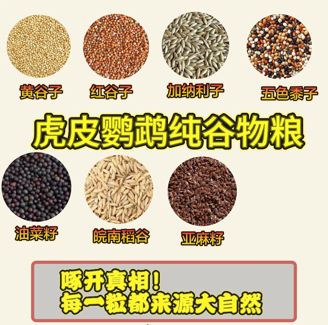 鸟粮鸟食纯种子粮鹦鹉大头虎皮云斑虎皮纯谷物自然鸟粮饲料