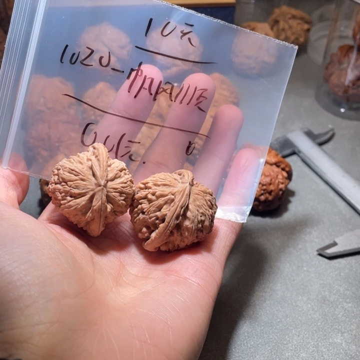 1***顺文玩核桃吊坠白狮子