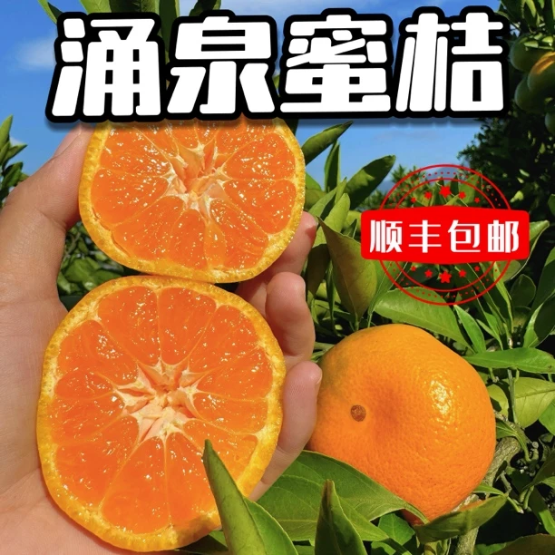 顺丰包邮正宗临海涌泉高山蜜桔皮薄多汁无核新鲜采摘孕妇现摘现发
