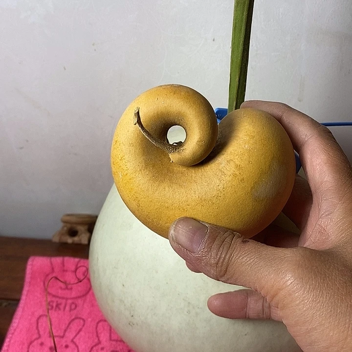 顶***上青皮葫芦手把件摆件