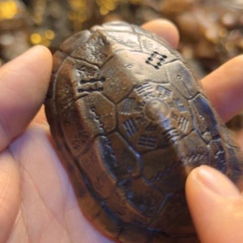 直播专属链接所见即所得