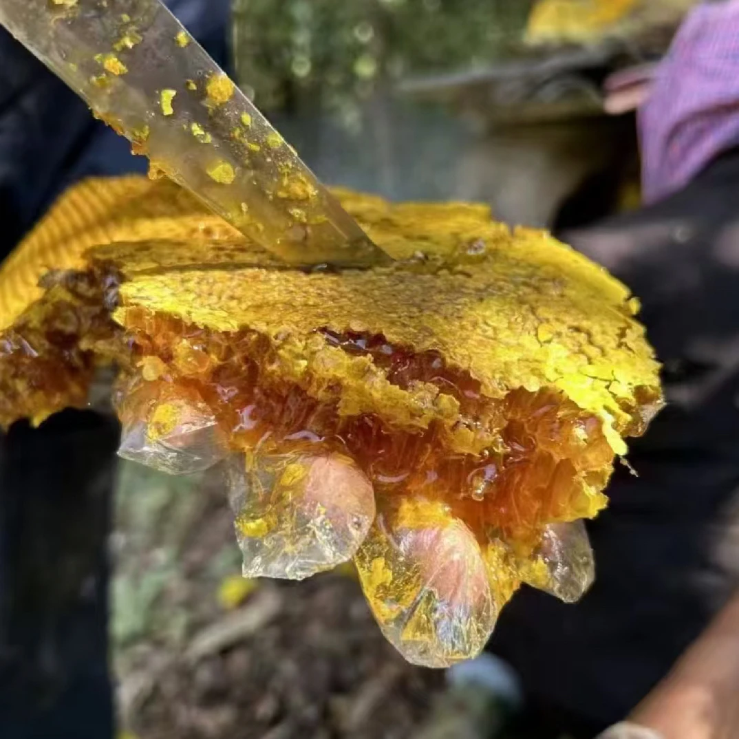 【云南哀牢山野生蜂蜜】高海拔蜂蜜古法采割成熟蜜一年一次
