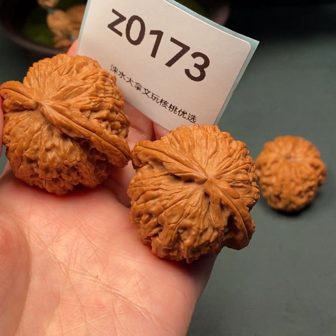 听***讲文玩核桃把件2100173