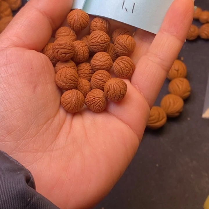 秦岭龙纹桃核21颗