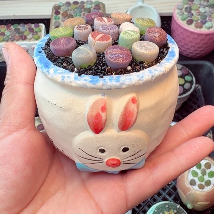 7018零下地区记得拍保温箱