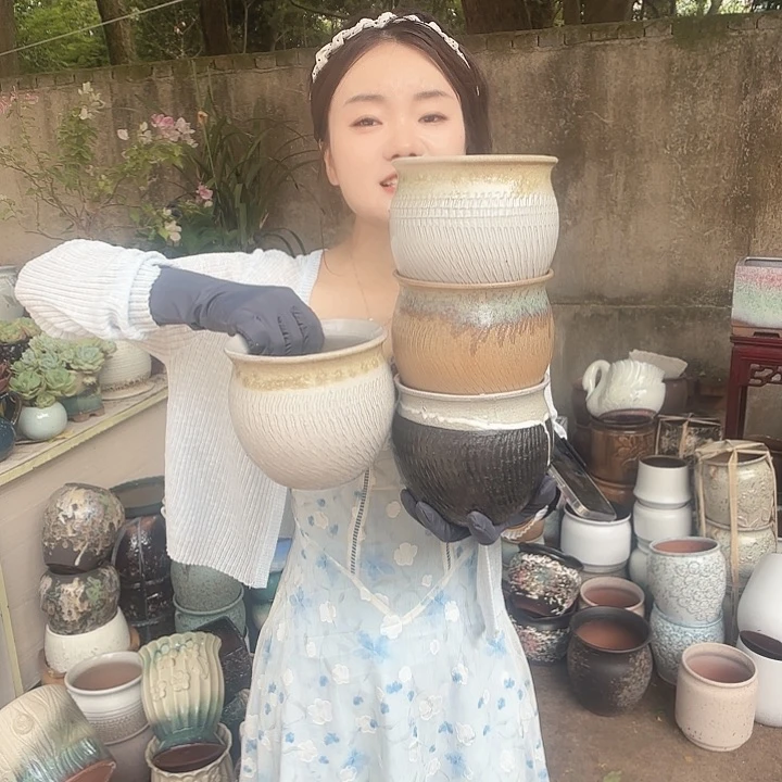 口径14高14四个颜色不挑