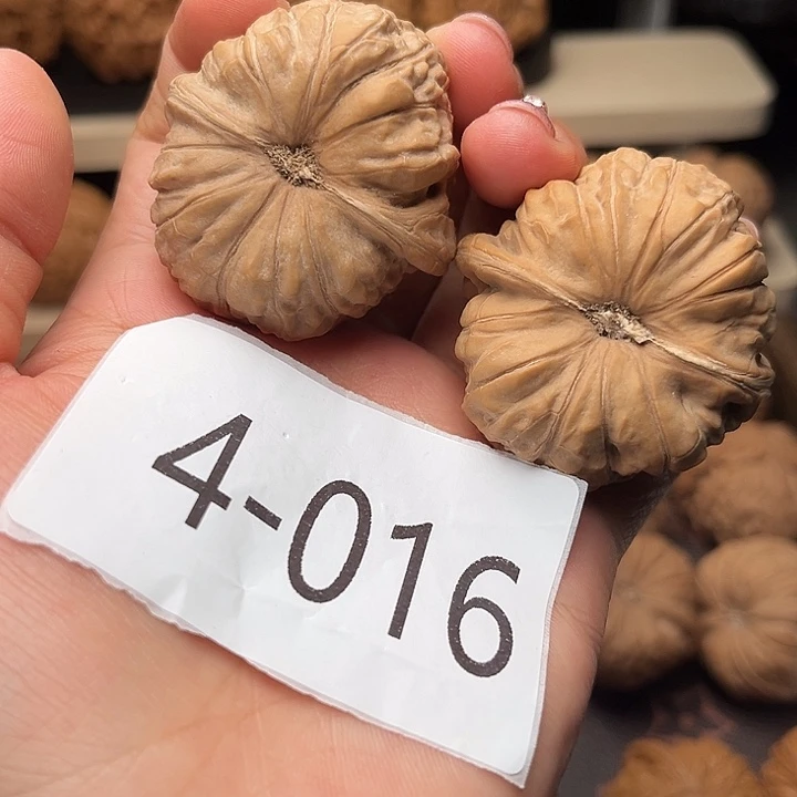 核桃42全品南瓜墩4016