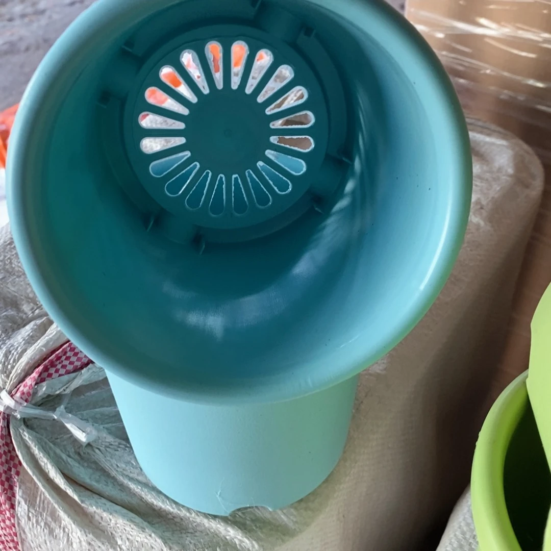 10个13.5口蓝色小盆无托