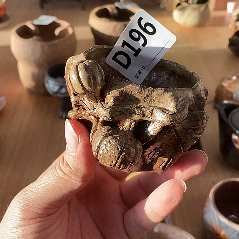 木村信弘木村信弘