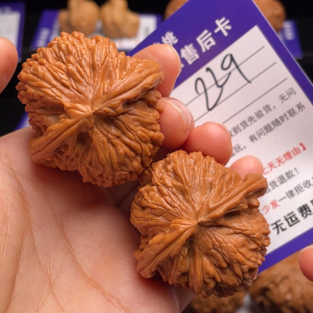 把件文玩核桃白狮子43尺