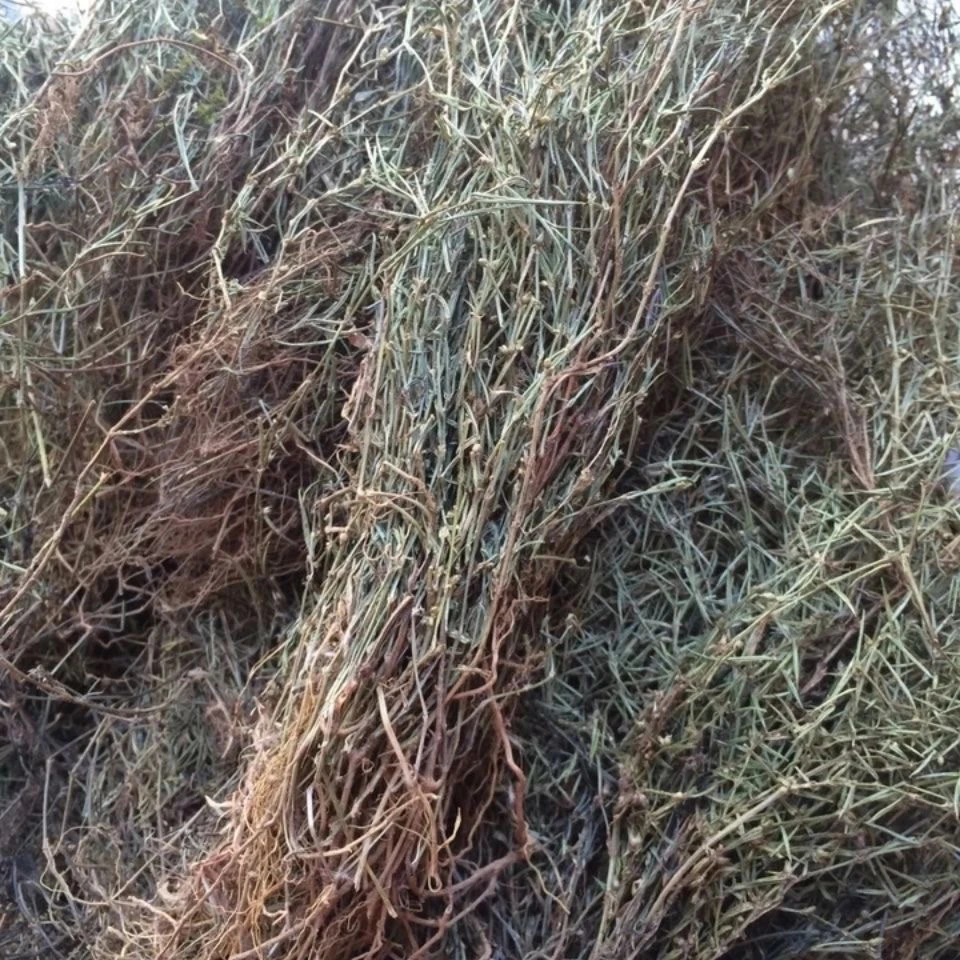 乌骨蛇舌草（1斤）