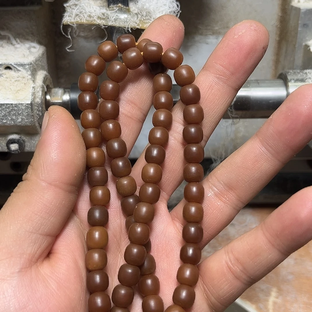 菩提根/象牙果手串