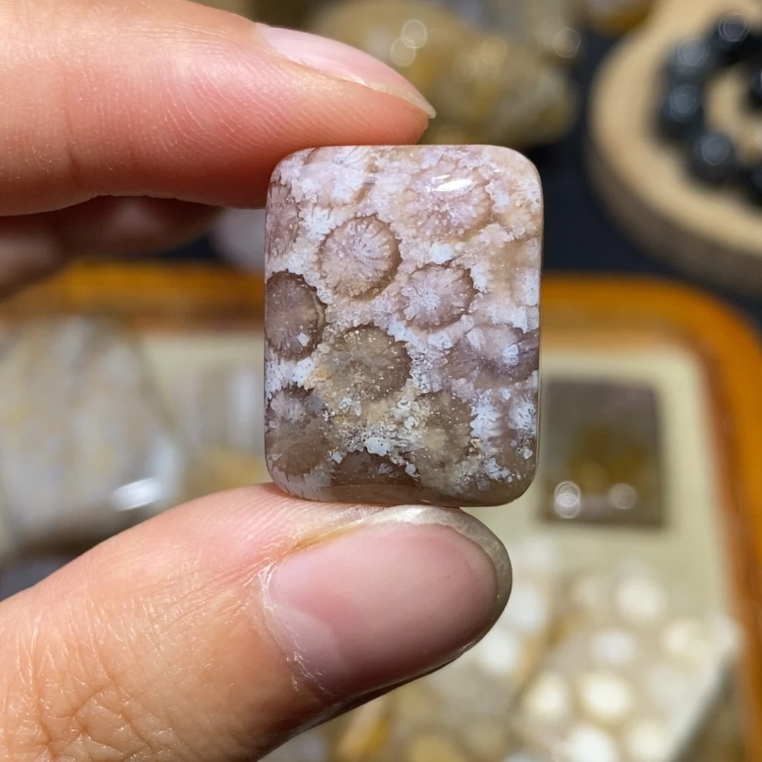 【闪购商品】硅化玉珊瑚玉未镶嵌