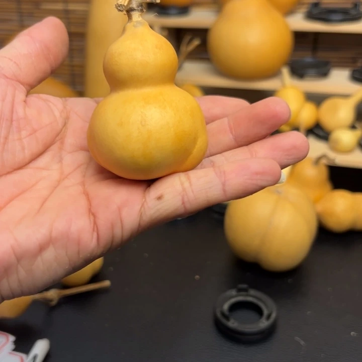 凸****凸155565555663699999